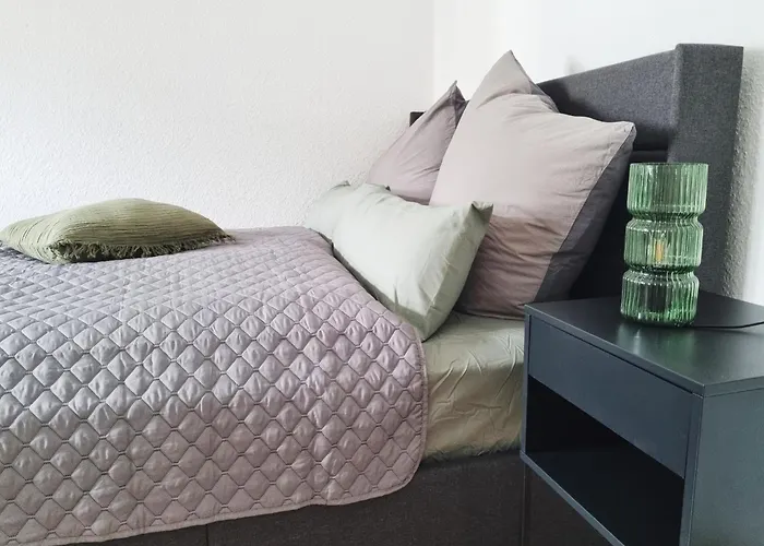 City Apartment Dresden 公寓