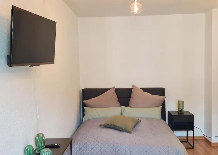 City Apartment Dresden * 德累斯顿